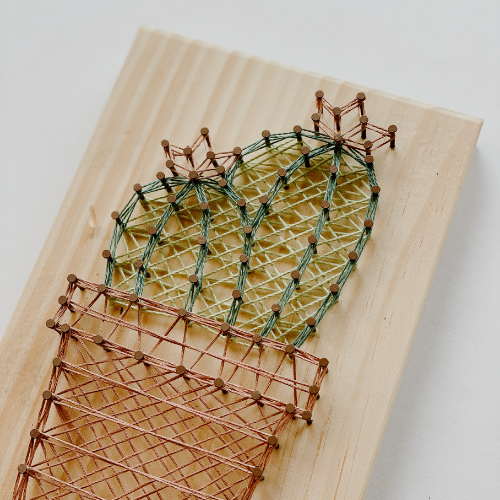 Flowering Cactus String Art Kit