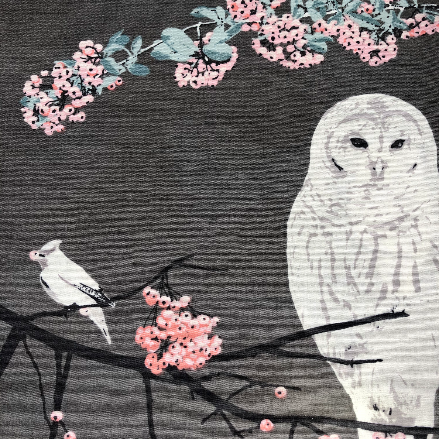 Fat Quarter, Bird Songs Moon, Blithe, Katerina Roccella, Art Gallery