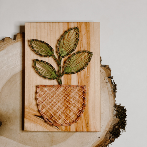 Rubber Plant String Art Kit