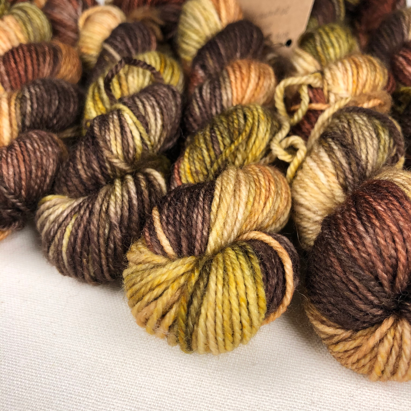 80/20 Sock Mini Yarn, Woods, Lichen and Lace
