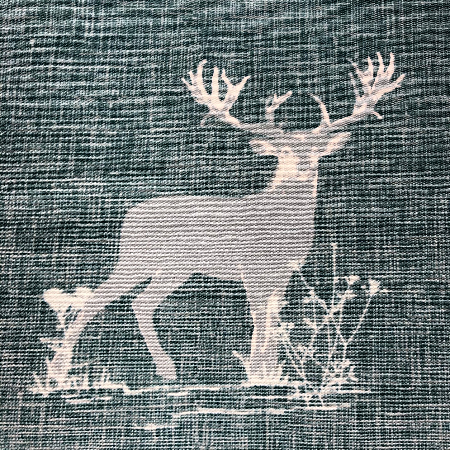 Dear Deer Teal, Blithe, Katerina Roccella, Art Gallery, per 1/2 meter