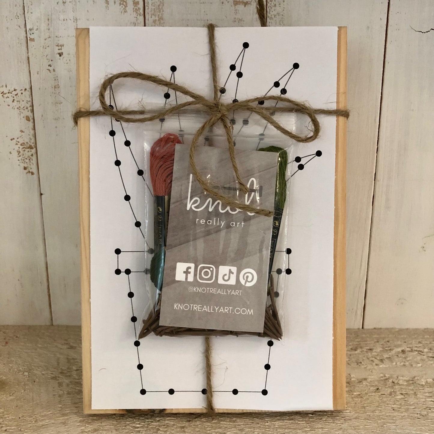 Spike Plant String Art Kit
