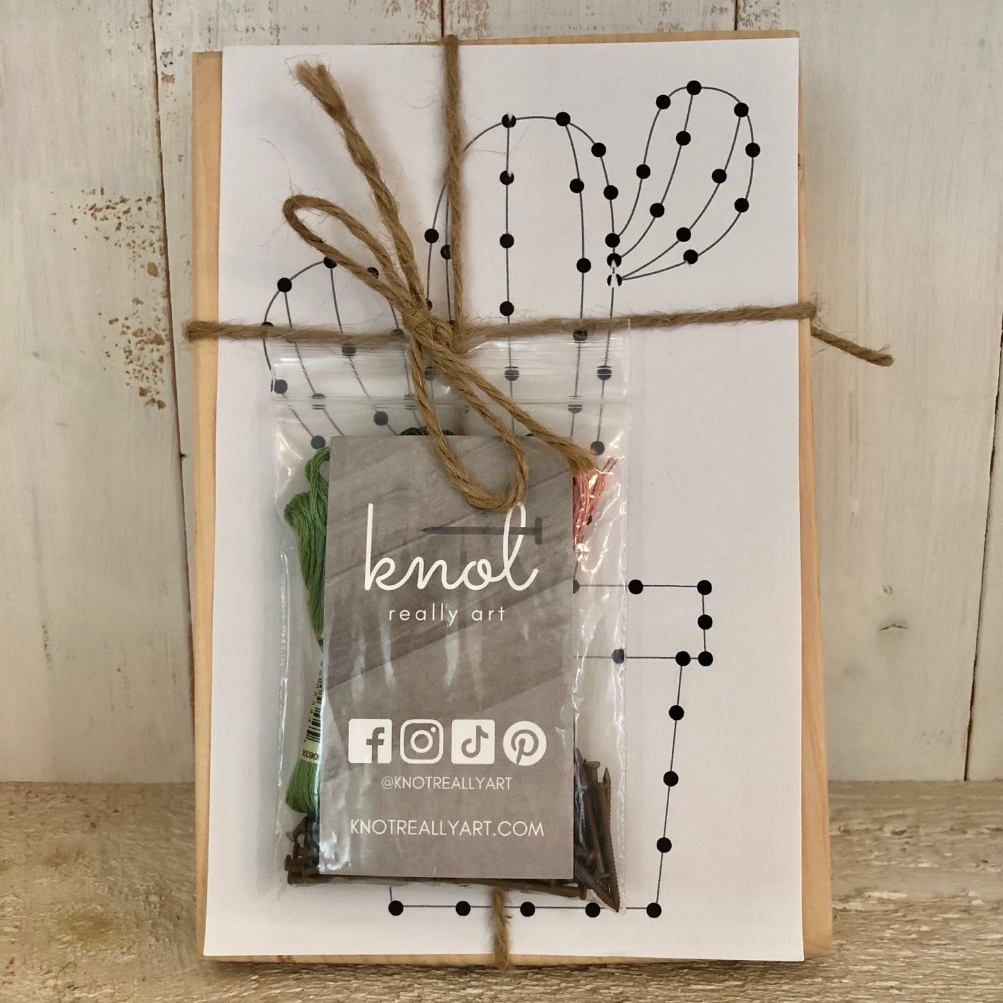 Cactus String Art Kit